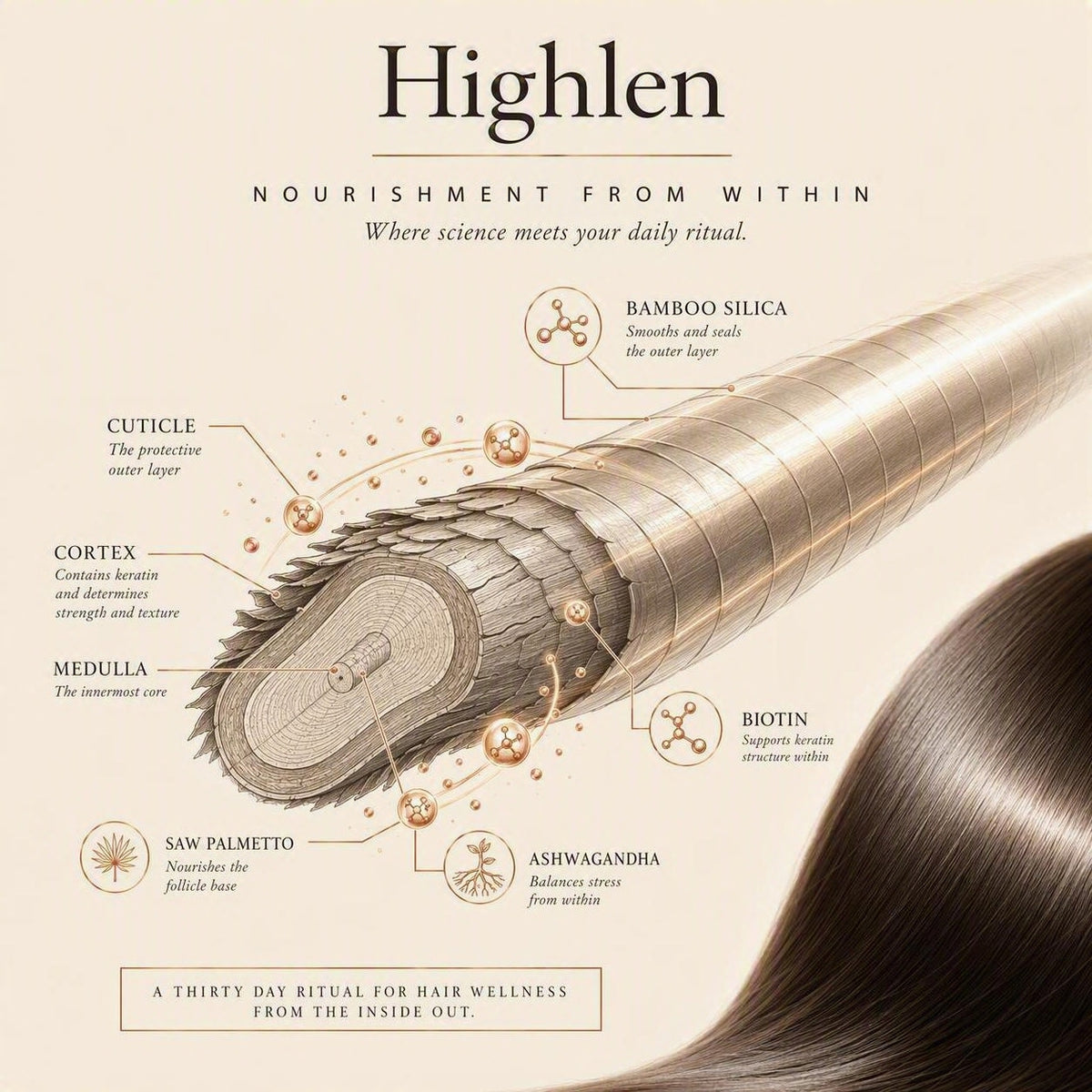 Hi Glow - Hair Ritual Supplement
