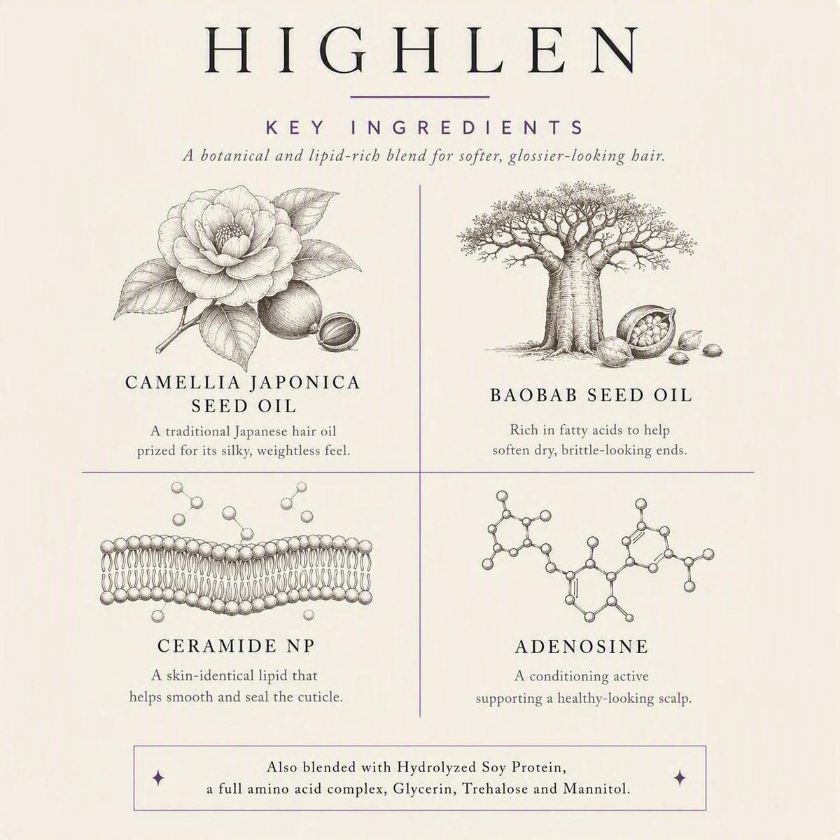 Hi Steam - Hydro Glow Repair Hair Mask